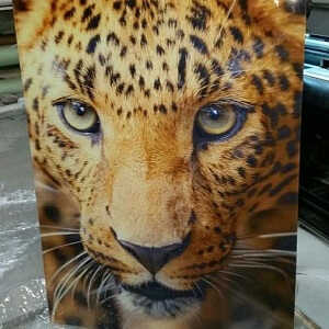 Широкоформатная печать