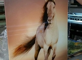 Печать 360 dpi - фото 4