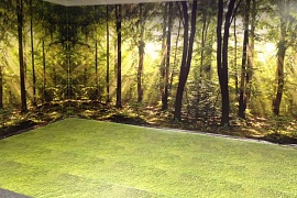 Интерьерная печать фотофона Лесной пейзаж