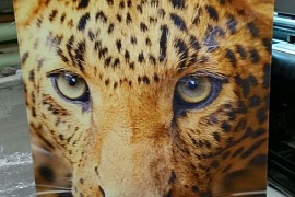 Печать постера Леопард