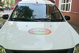 Печать наклейки на автомобиль NutNat