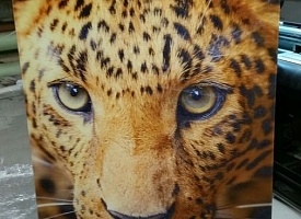 Печать на сетке - фото 1