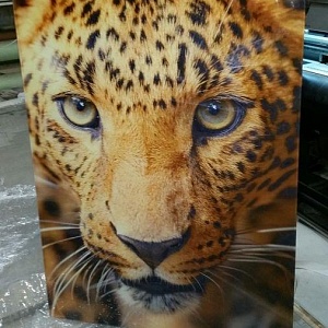 Печать 720 dpi